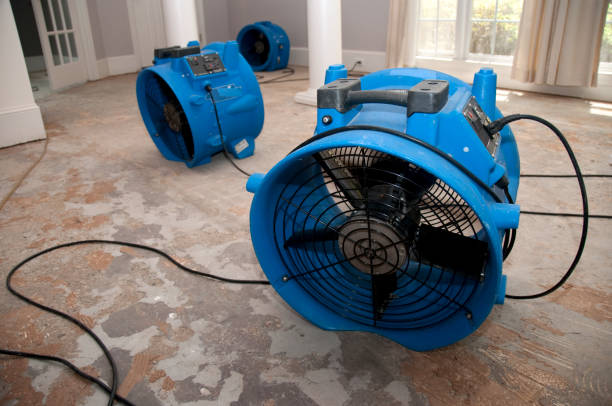 Best Ceiling water damage repair  in Beverly Hills, TX