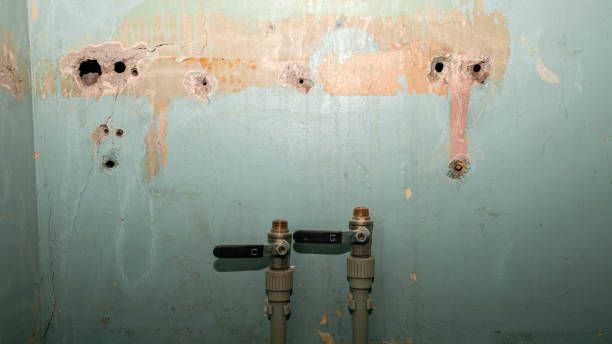 Best Sewage cleanup and water damage restoration  in Beverly Hills, TX